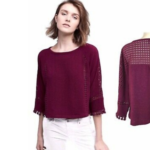 Anthro Saturday Sunday crop tassel top wine Small - Picture 2 of 8
